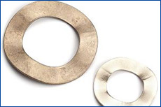 > </div>
<div class=